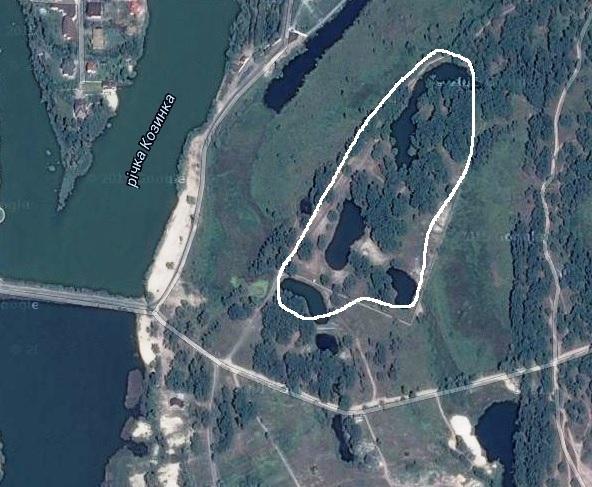 Довгий Олесь Станиславович полное досье компромат