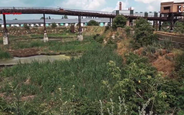 Кива Илья сепаратист полное досье компромат Кива Илья сепаратист полное досье компромат