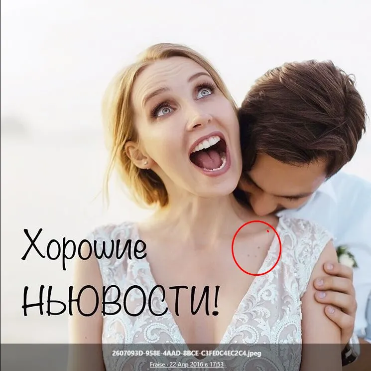 Левчук Людмила Николаевна полное досье компромат