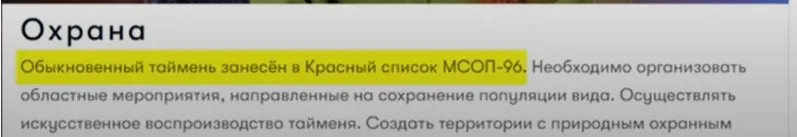 Блиновская Елена Олеговна полное досье компромат Блиновская Елена Олеговна полное досье компромат